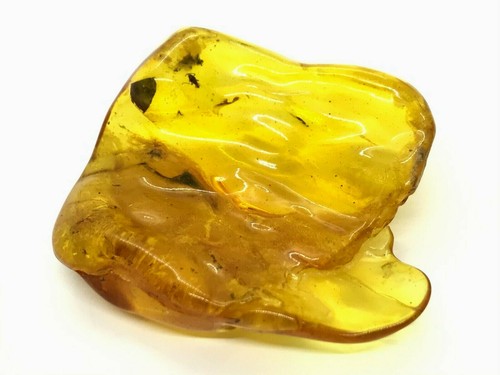 Amber Piece 2 Insects Inclusion Fossil Insect Natural Baltic Gift 14,3g 14797 - Picture 7 of 12