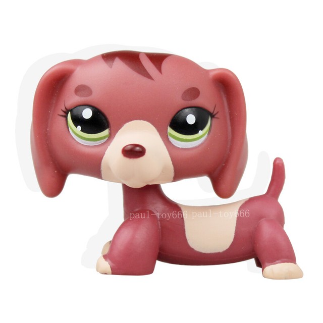 challenging dog puzzle toys