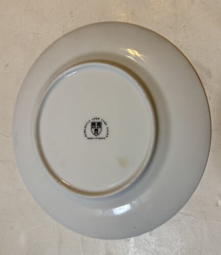 Princess Diana And Family Ceramic Commemorative Plate 8.2 In. - Picture 2 of 2