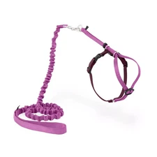 PetSafe  Come with Me Kitty  Harness and Bungee Leash: Small Purple up to 12 lbs