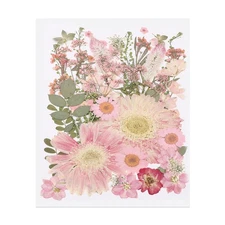 50 Pcs Dried Pressed Flower Leaves Bulk for Resin, Pink Fairy