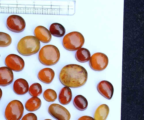 Designer Natural Baltic Amber Mix cabochon 7*8.5 to 11.5*17 mm 112.80 CT 60 Pc - Picture 3 of 6