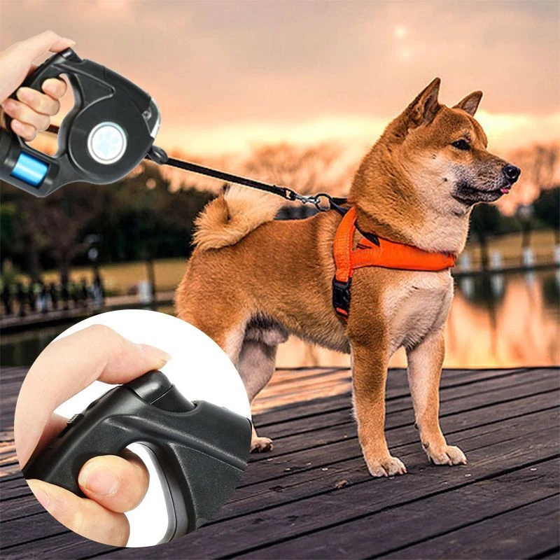 3 in top 1 dog lead