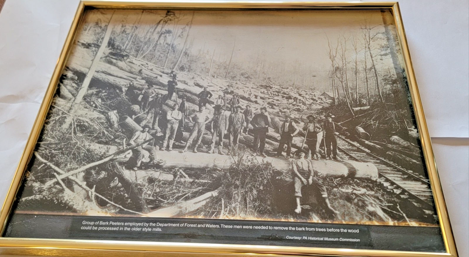 Pennsylvania Log Bark Peelers Logging Photograph Framed PA Historical Museum