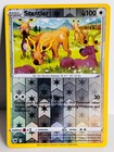 Bild 195 von 251