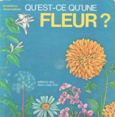 Was ist eine Blume? - M. Le Gwen - V190876