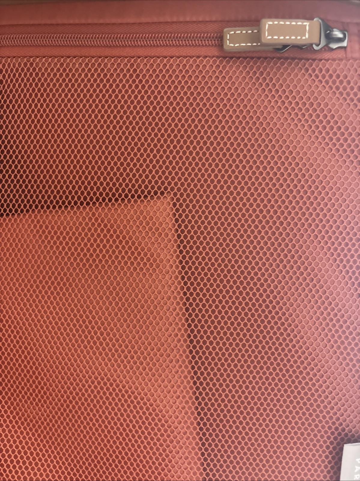 Picture 8 of 14