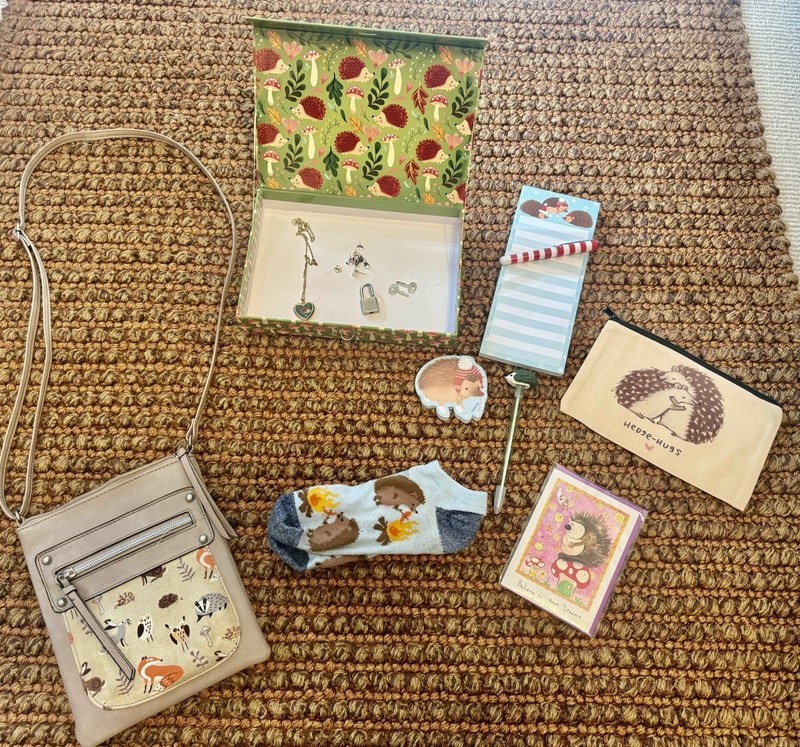 Huge Hedgehog Lot Accessories Earrings Necklace Purse Notepad Pen Lock Box 