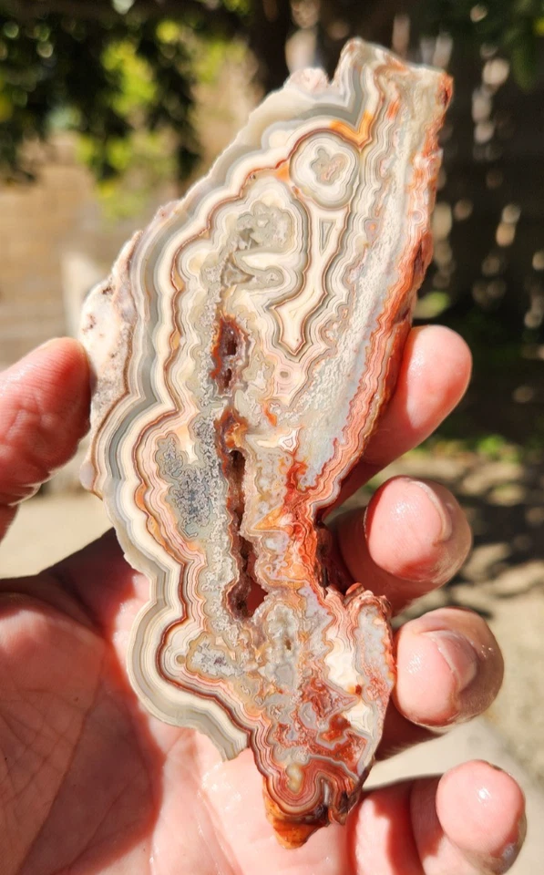 Laguna Lace Ágata Losa Sierra Ligera Marca y Cónica 5"X2"X0.27" 91 Gramos Ver Video Foto 2 de 4