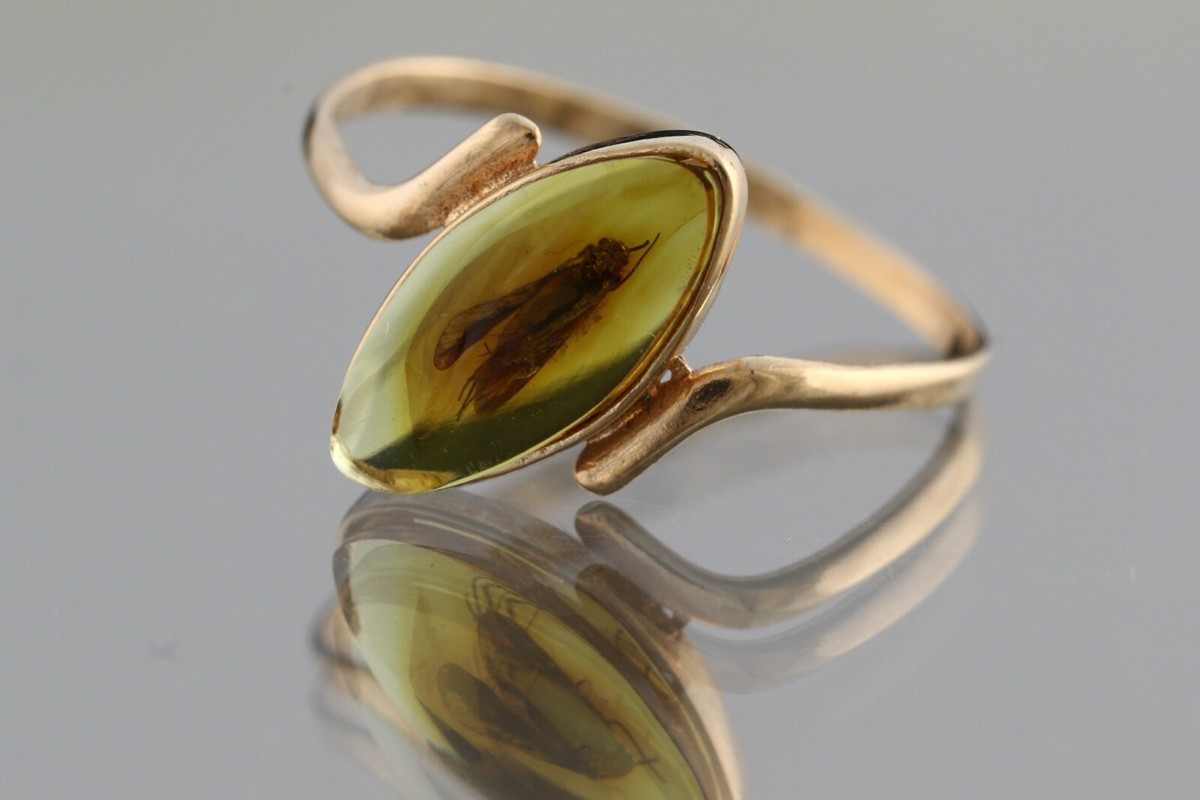Fossil Insect Amber Insect Ring Genuine BALTIC AMBER 14K GOLD