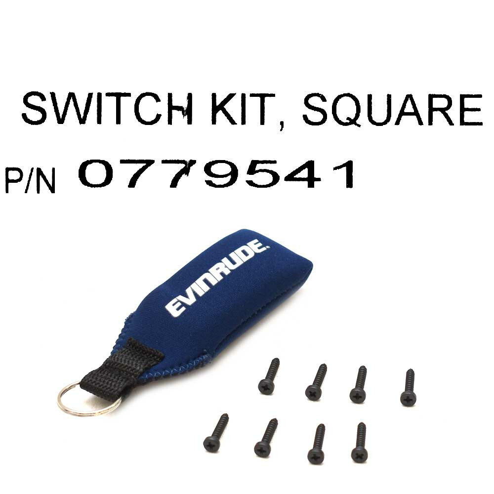 Evinrude Johnson Boat Ignition Switch Panel 0779541 Icon II (Kit) eBay