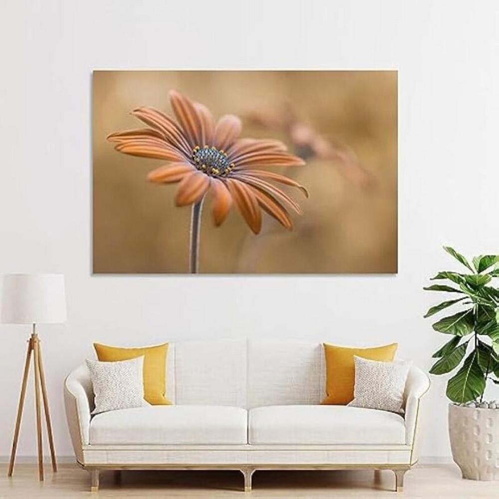 Flowers Wall Decor Art Poster Orange African Daisy Painting Canvas Wall