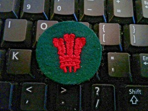 UK-BRITISH-ARMY-NORTH-WALES-DISTRICT-PATCH
