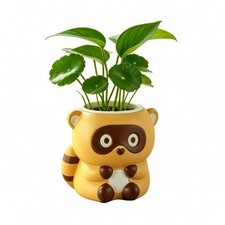 Raccoon Planter Cute Home Decor Item Desktop