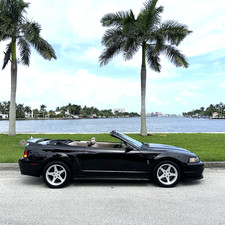 1999 Ford Mustang for Sale