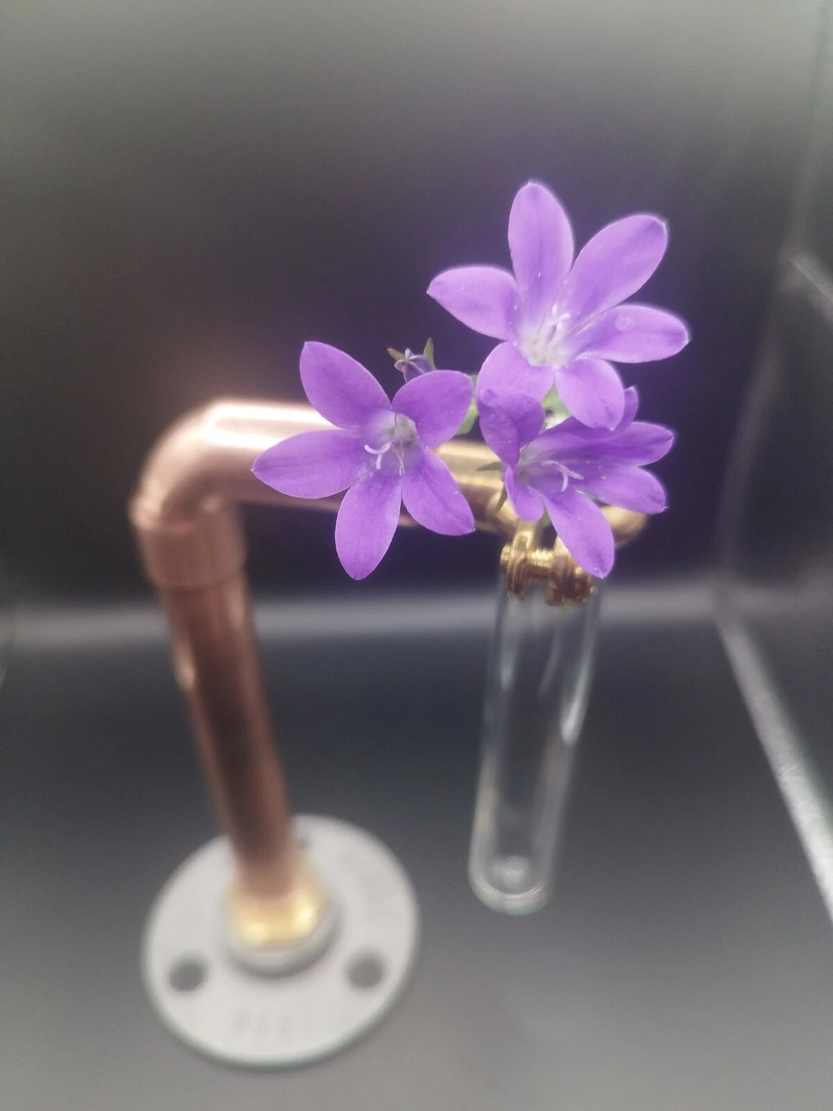 Copper Vase - Glass tube - Industrial Steam Punk