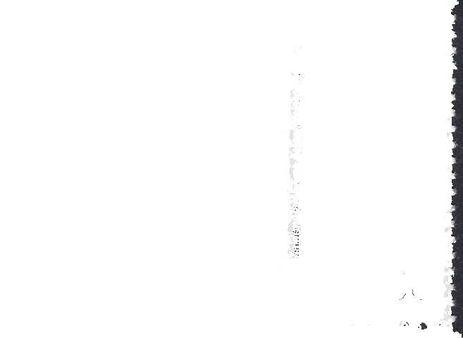 Plants Mint Never Hinged/MNH Singapore Stamps (1963-Now)