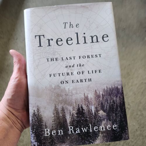 The Treeline Hardcover - Winner 2023 Helen Bernstein Book Award for Excellence i - Afbeelding 1 van 1