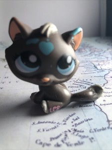 lps paint splatter cat