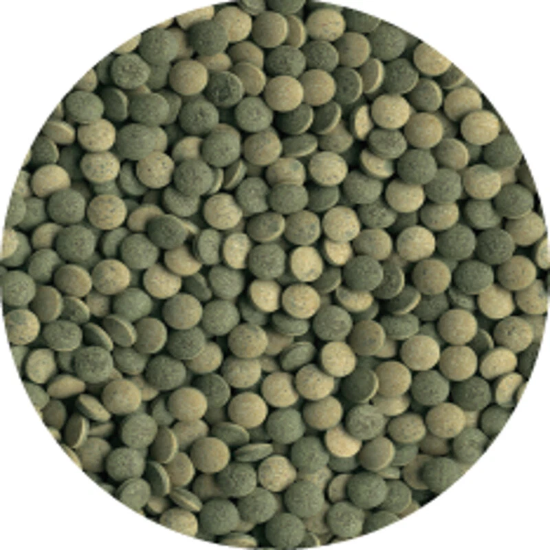 Tetra Pleco Tablets- Fischfutter Tablettenfutter Zierfischtabletten 275 Tabl. - Bild 2 von 2