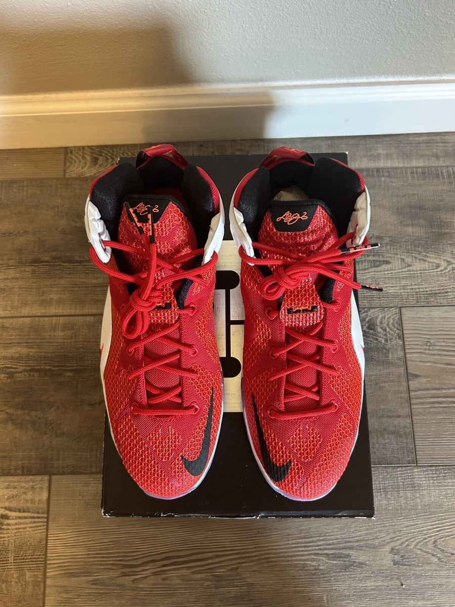 lebron shoes with lion head