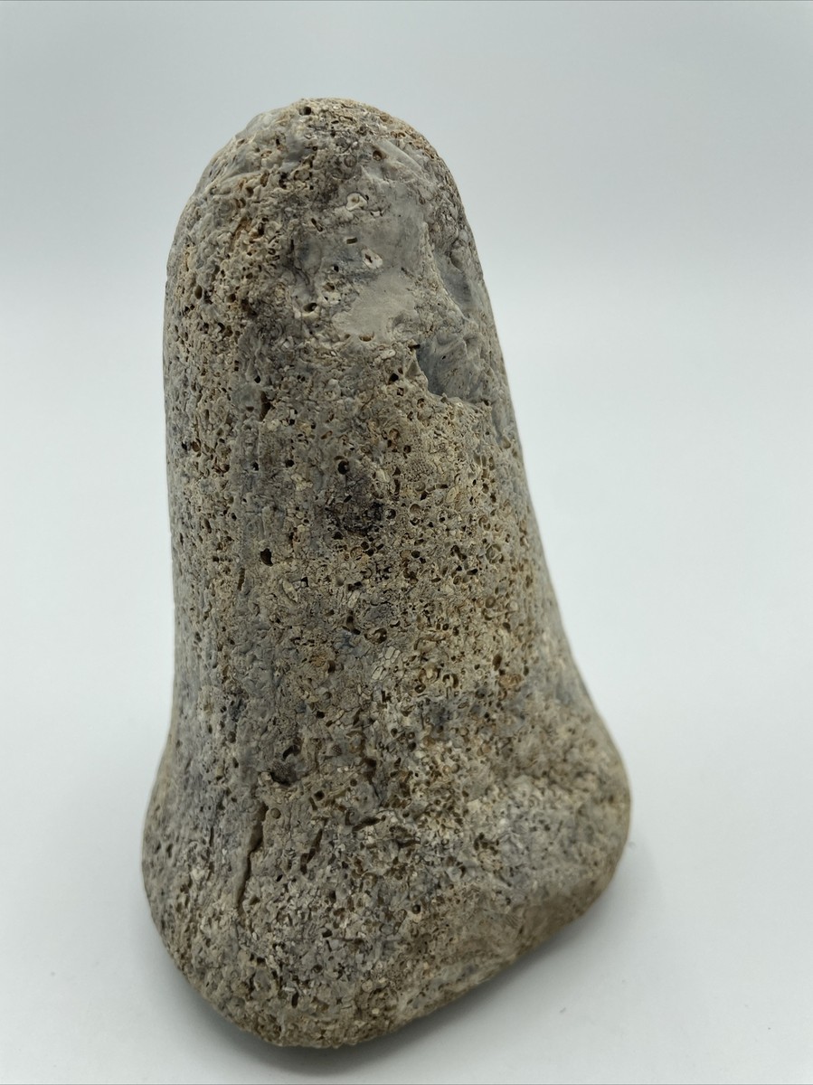 Indian Artifact Bell Pestle Stone Tool Fossilized Hardstone | eBay