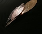 Bild 8 von 9