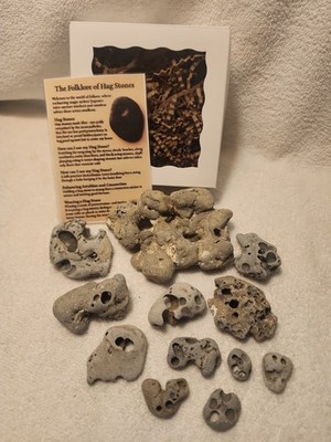 12 Holey Rocks Hag Stones Natural Beach  Mystical Hole Fairy 