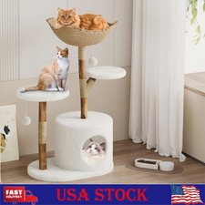Real Wood Cat Tree Tower with 2 Perch, Platforms, Scratching Posts  Mats