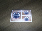 2010-11 Autocollants Panini logo # 227 edmonton