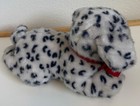 Bild 5 von 11