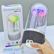 Jellyfish Lamp with Bluetooth Speaker Indoor Outdoor Dancing Lights