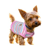 Small Dog T-Shirt,Light Weight Stretchy Striped Dog Clothes,Breathable Soft S...