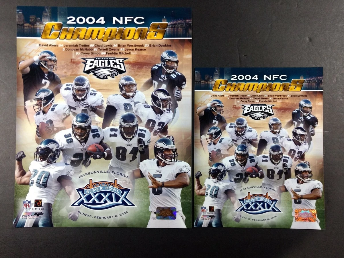 2004 nfl champions hotsell
