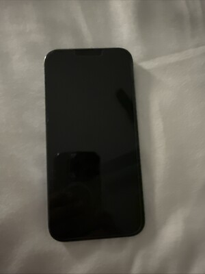 iPhone 13 Pro Max con aplicación de TikTok