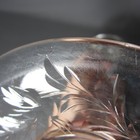 Bild 8 von 9