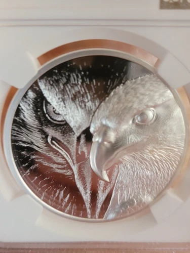 2020 Mongolia 500 Togrog Majestic Eagle 1oz Silver Proof Coin NGC PF69 beautiful
