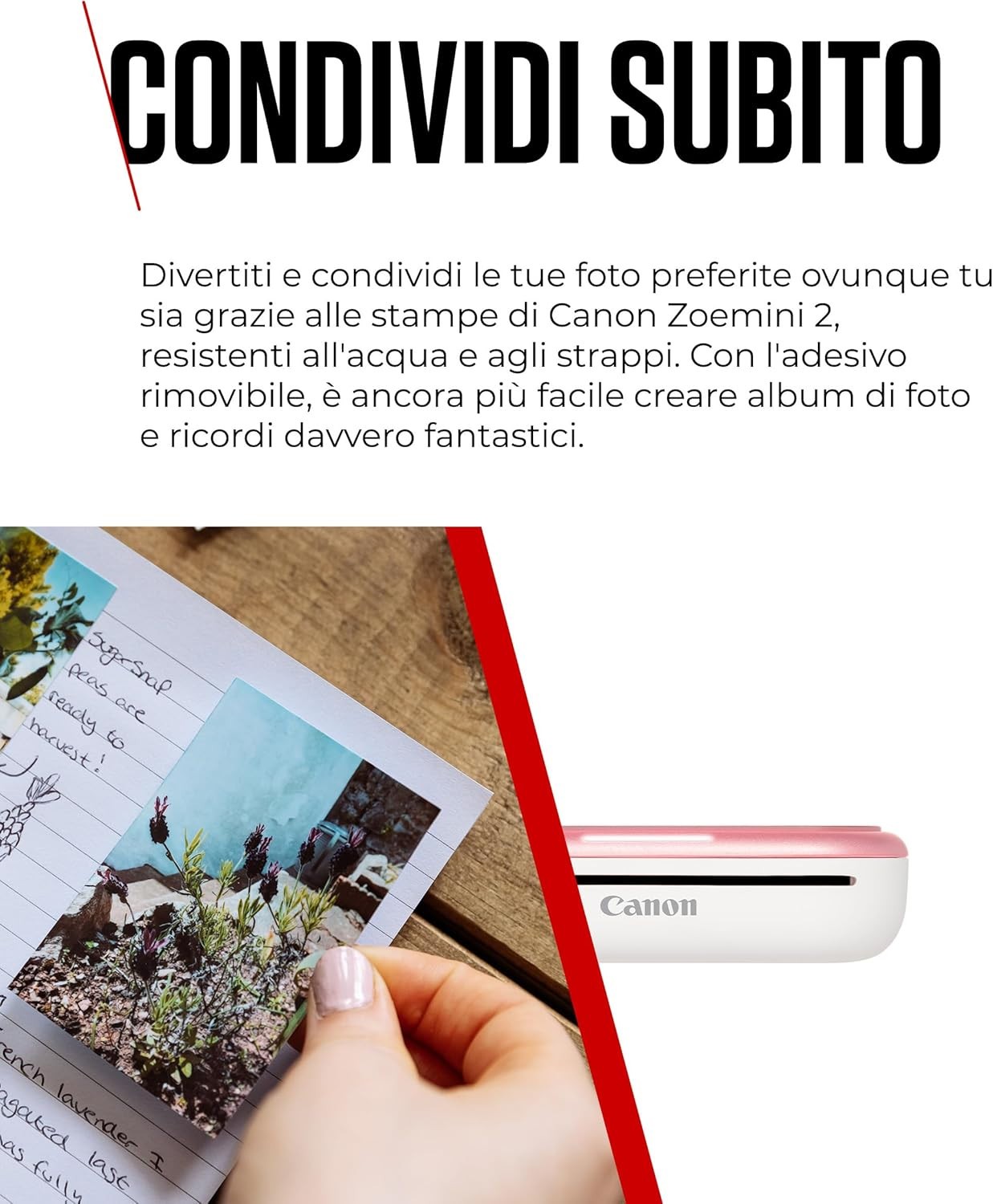 Foto 10 di 14