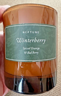 Neptun Winterberry Kerze Spiced Orange und Red Berry - Neu - ohne Karton 210g