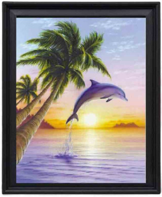 Amazing Jumping Dolphin Art Print 11x14 black picture frame
