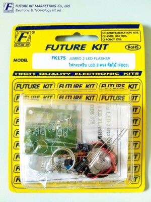 FK175 / JUMBO 2 LED FLASHER (Soldering Practice Kit) | eBay