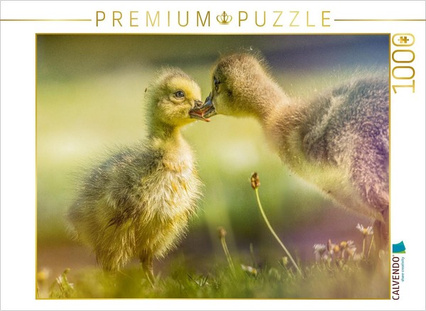 Calvendo Puzzle Tender Encounter - A Moment Among Goslings | 1000 Pieces, Finish-image