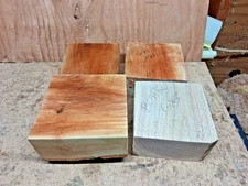 Pin Oak Plum Red Alder Sycamore Wood Turning Bowl Blanks 6" x 3"