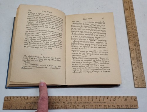 WILD WIND - Temple Bailey - Grosset & Dunlap gebundenes Buch - Bild 10 von 12