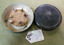 #D462.   C. 1920  ENGLISH  FLY & CAST POCKET BOX - SIX(6) DRY FLIES & GUT CAST