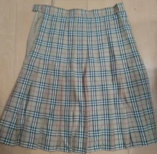 Women size L Skirt Burberry Pleated Skirt Nova check LTD Collection Original VHT