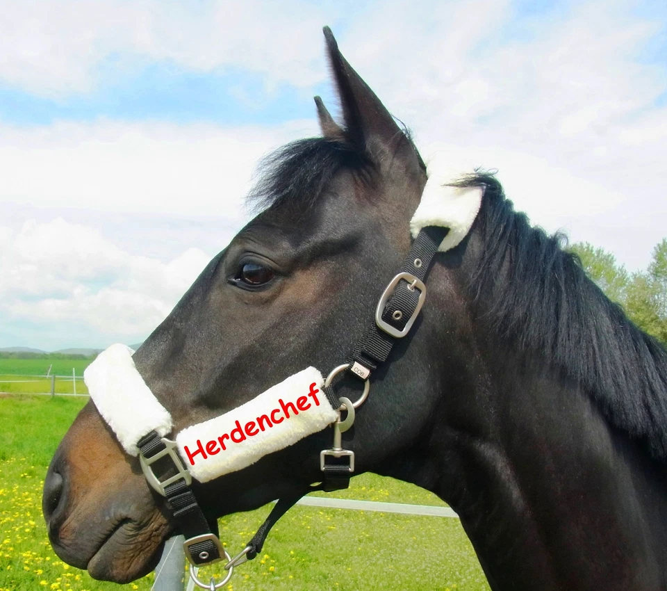 Halfter Plüschi mit Namen für Pony VB/COB oder WB/Full - Bild 3 von 4