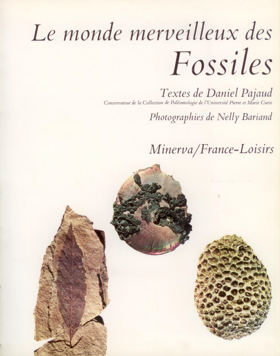 couverture de : Le Monde merveilleux des fossiles