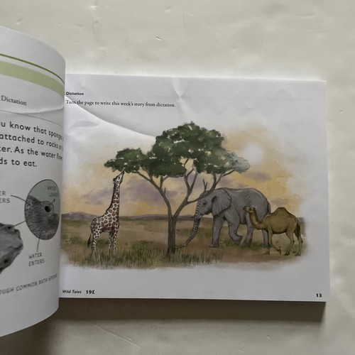 Spelling You See C Wild Tales Universal Set Workbook Part 1 & 2 & Instructor’s - Picture 14 of 23