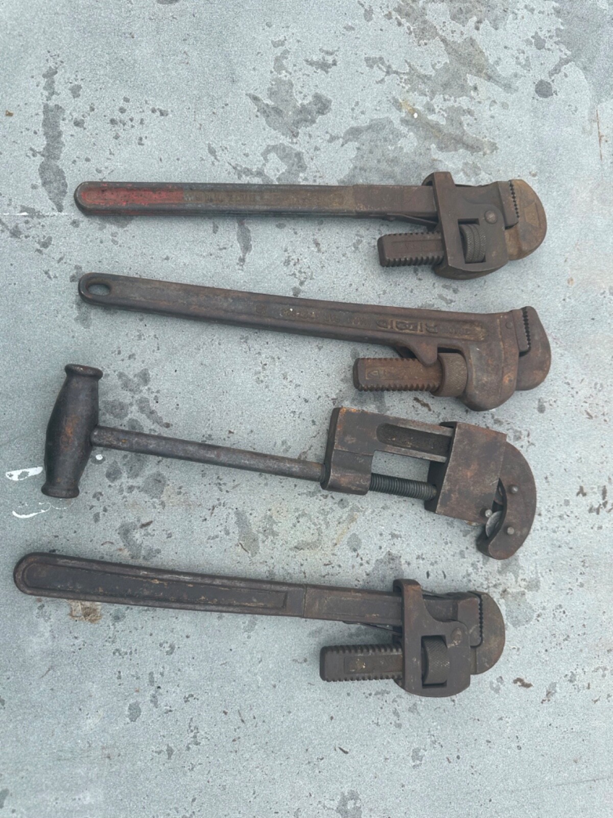 Picture 6 of 11